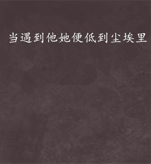 尘埃里遇见极光