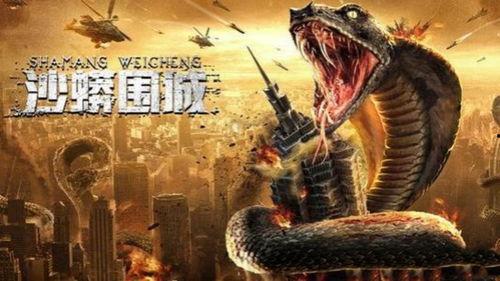 沙蟒围城,荒野生存的生死较量